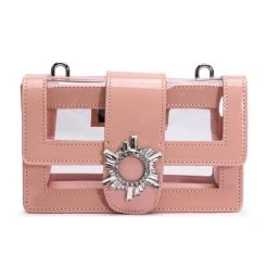 CLEAR NUDE EMBELLISHED PURSE -handbag shop clear nude embellished purse clear 4 4